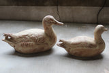 Pair of Stoneware Ducks