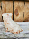 Stoneware Small Sitting Pig